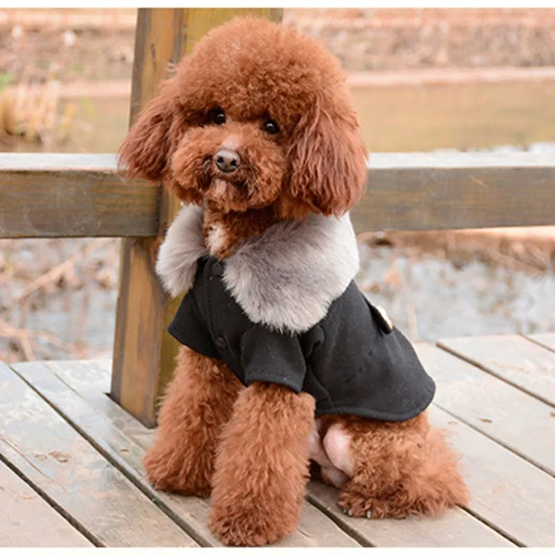 Fashion Soft Fur Collar Warm Autumn & Winter Coat For Dogs