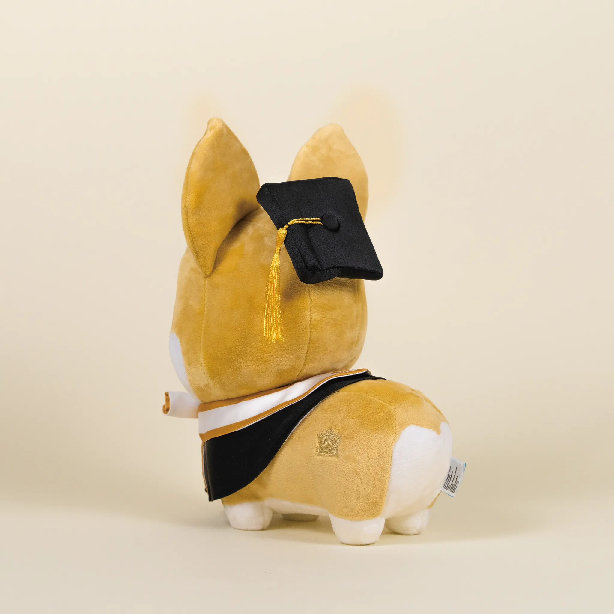 Graduation Corgi