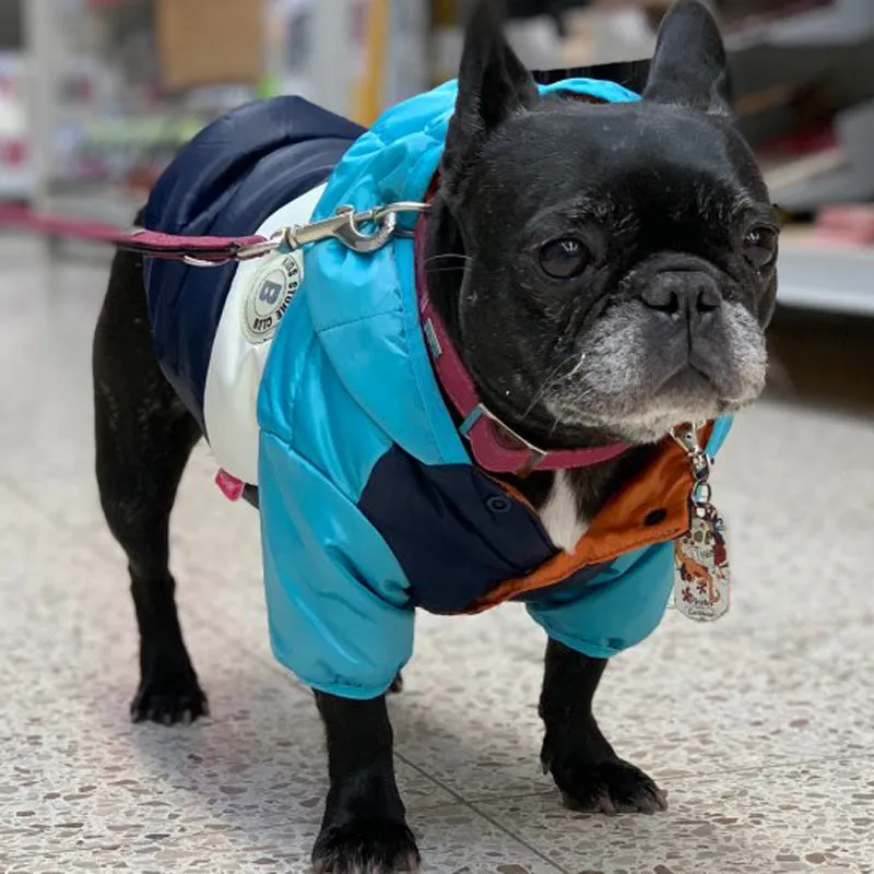 Winter Coat Waterproof Coat for French Bulldog (CS032)