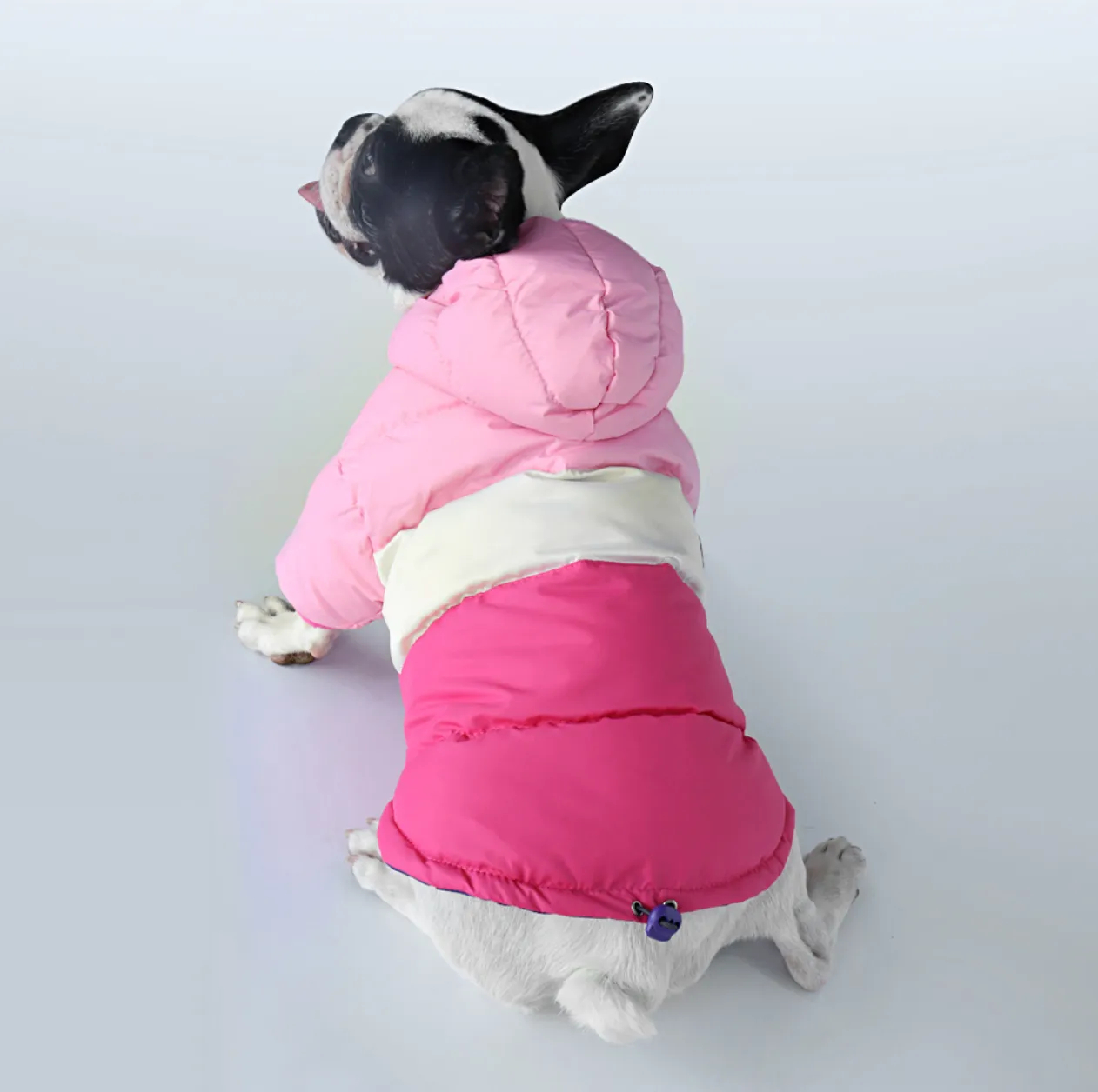 Winter Coat Waterproof Coat for French Bulldog (CS032)