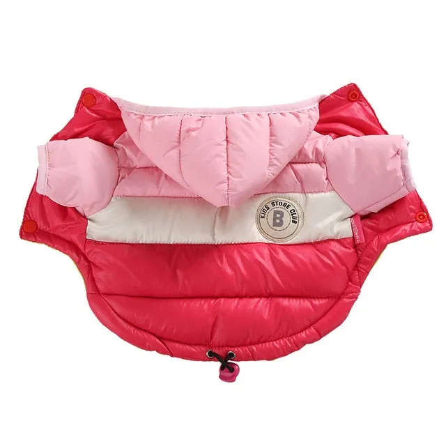 Winter Coat Waterproof Coat for French Bulldog (CS032)