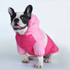 Winter Coat Waterproof Coat for French Bulldog (CS032)